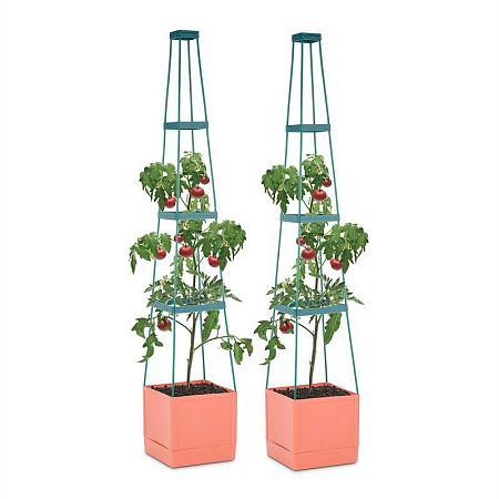 Waldbeck Tomato Tower, virágcserép paradicsomra, két darabos készlet, 25x150x25cm, rács a rögzítéshez, PP